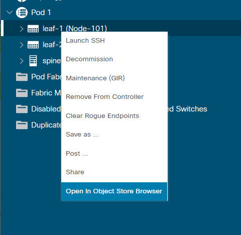 open_in_object_browser