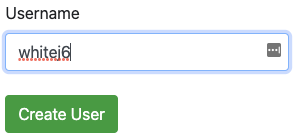 Input Validation