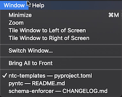Screenshot Showing Custom Open File Ordering in VS Code