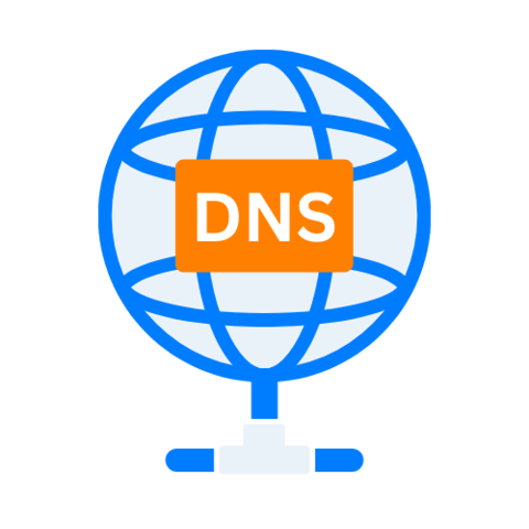 DNS Models